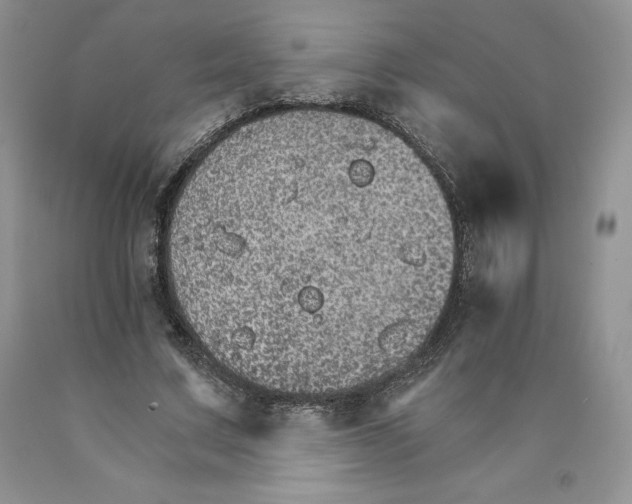 X0000089940683200707271819