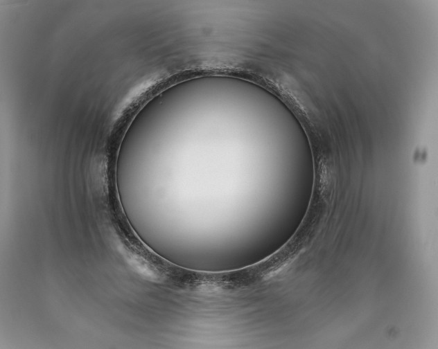 X0000089940684200707271818