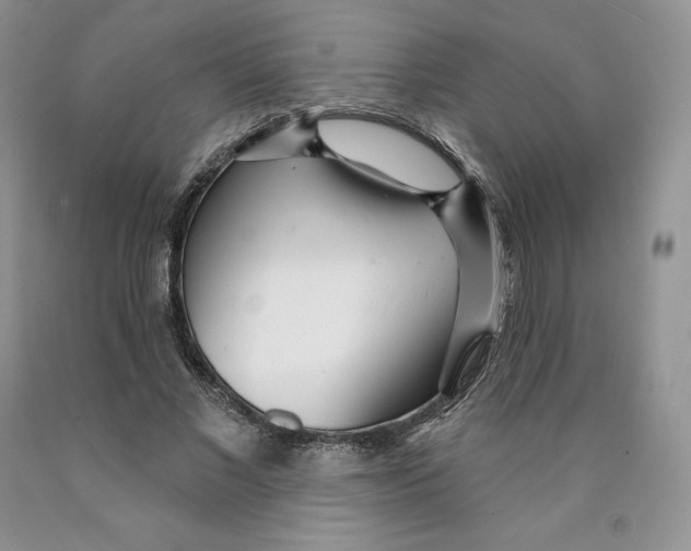 X0000089940685200707271818