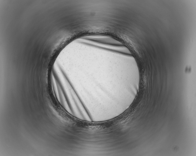 X0000089940686200707271818