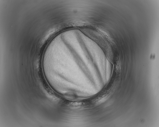 X0000089940687200707271818