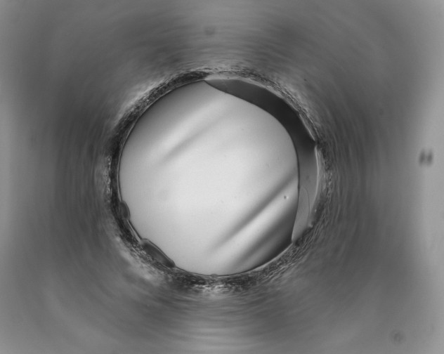 X0000089940688200707271818