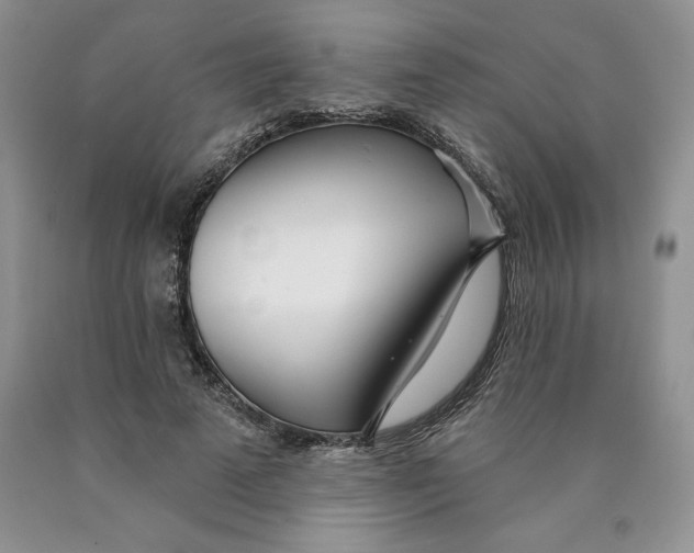 X0000089940689200707271818