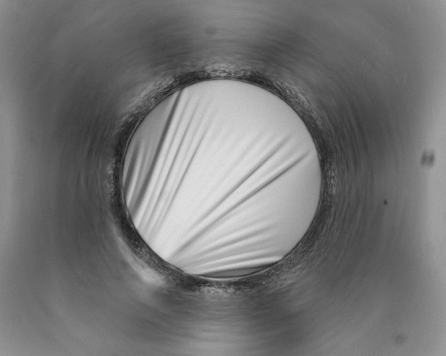 X0000089940690200707271818