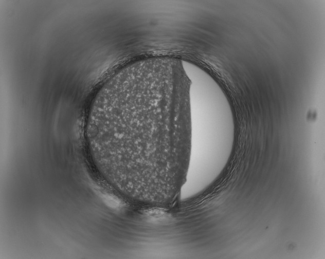 X0000089940691200707271818