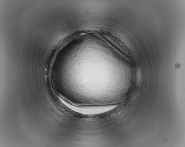 X0000089940692200707271818