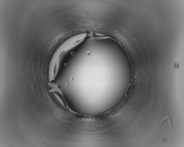 X0000089940693200707271818