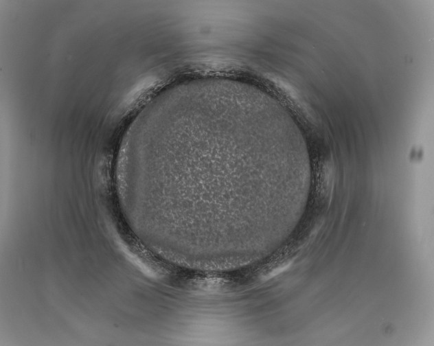 X0000089940695200707271818