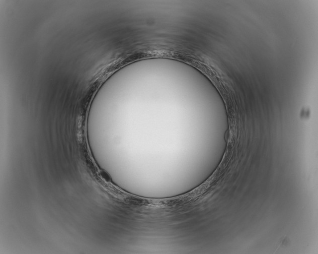 X0000089940696200707271818