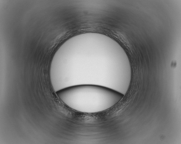 X0000089940697200707271818