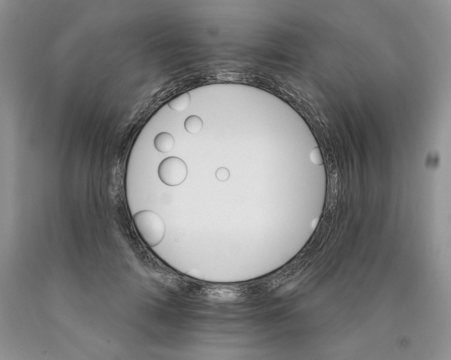 X0000089940698200707271818