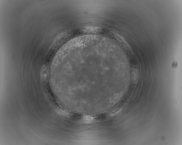 X0000089940701200707271818