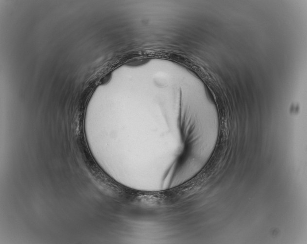 X0000089940703200707271818