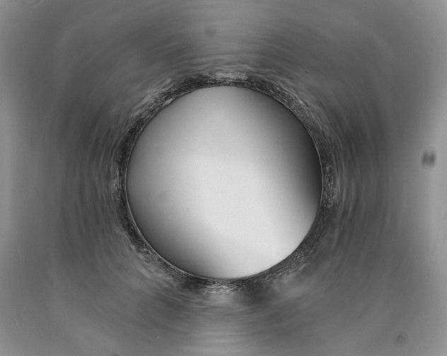 X0000089940704200707271818