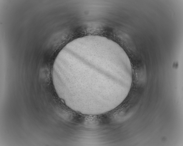 X0000089940705200707271818
