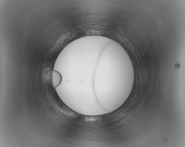 X0000089940706200707271818