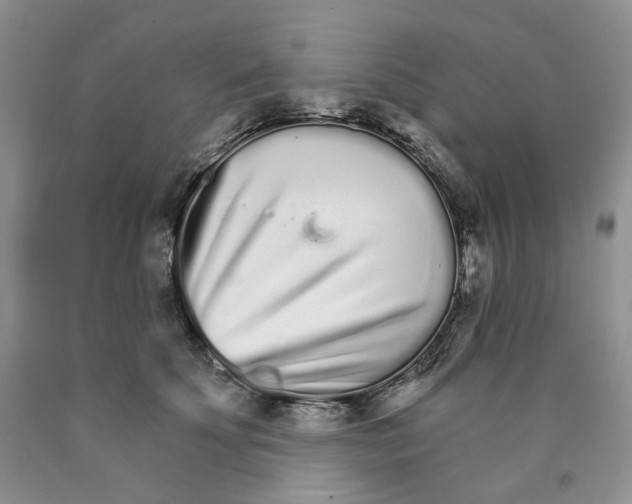X0000089940707200707271818