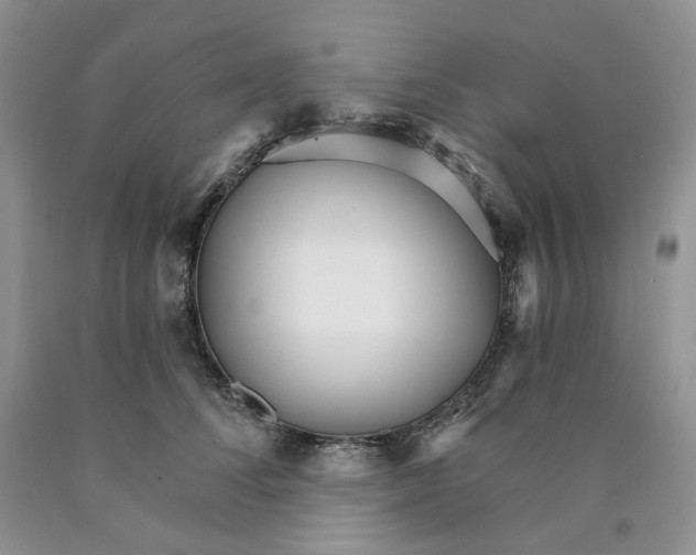 X0000089940708200707271818