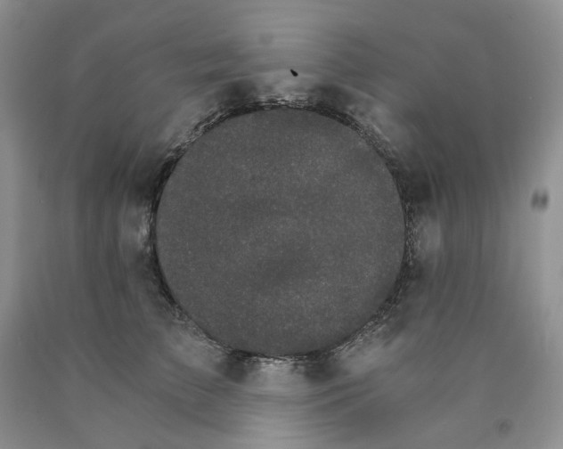 X0000089940709200707271818