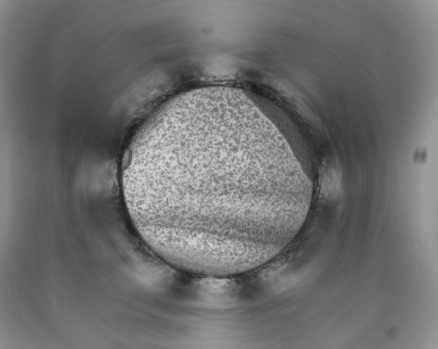 X0000089940711200707271818