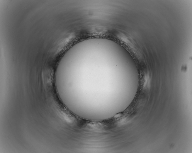 X0000089940712200707271818