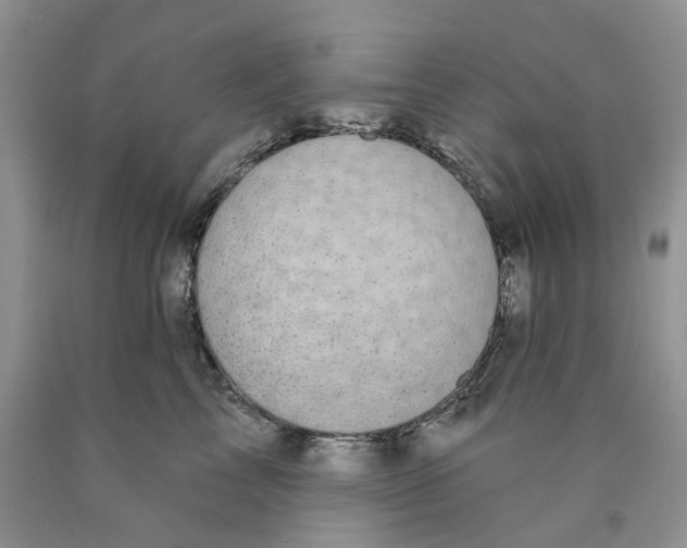X0000089940713200707271818