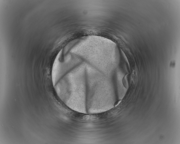 X0000089940714200707271818