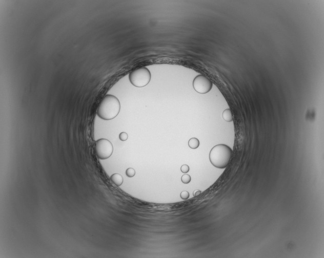 X0000089940715200707271818