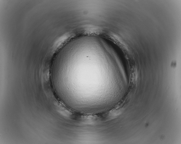 X0000089940716200707271818