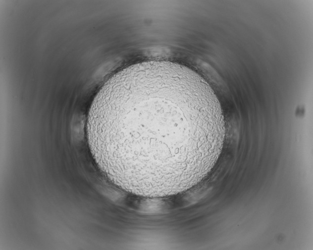 X0000089940717200707271818