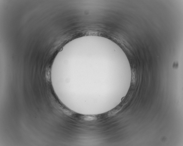 X0000089940718200707271818
