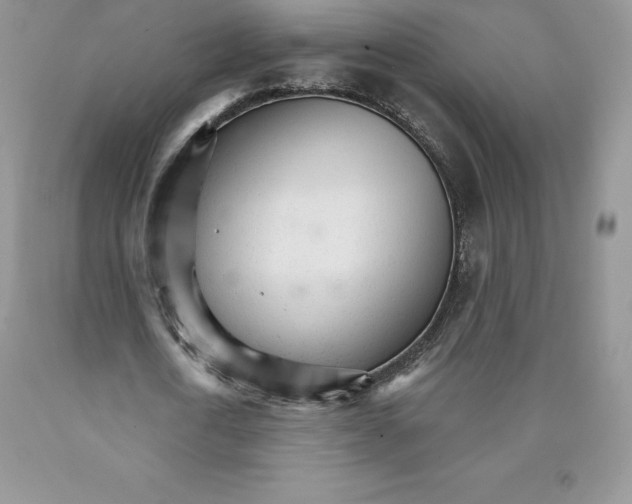 X0000089940722200707271817
