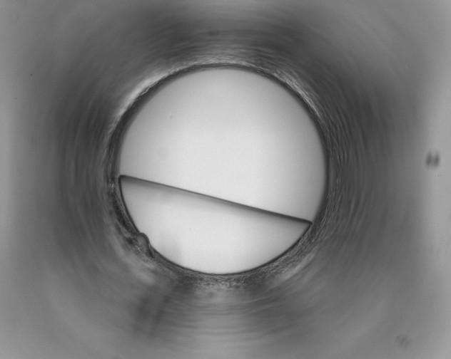 X0000089940723200707271817