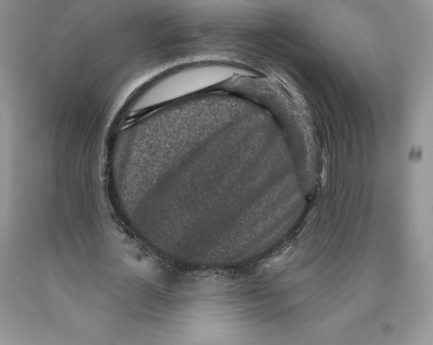 X0000089940724200707271817