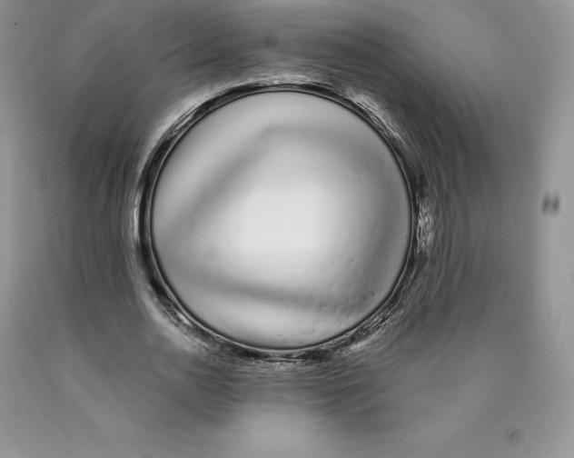 X0000089940726200707271818