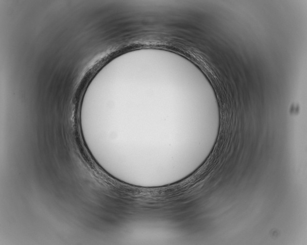 X0000089940727200707271818