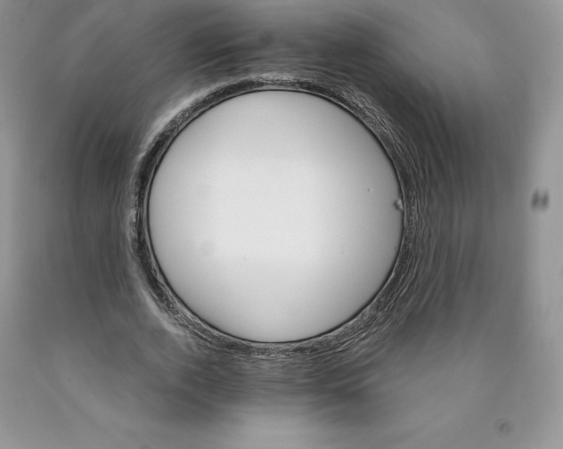 X0000089940728200707271818
