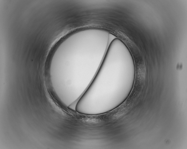 X0000089940730200707271818