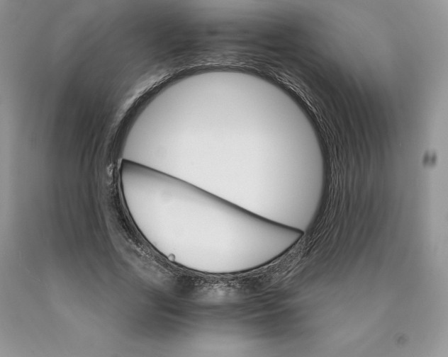 X0000089940731200707271818