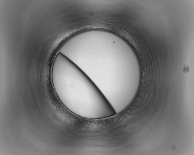 X0000089940732200707271818