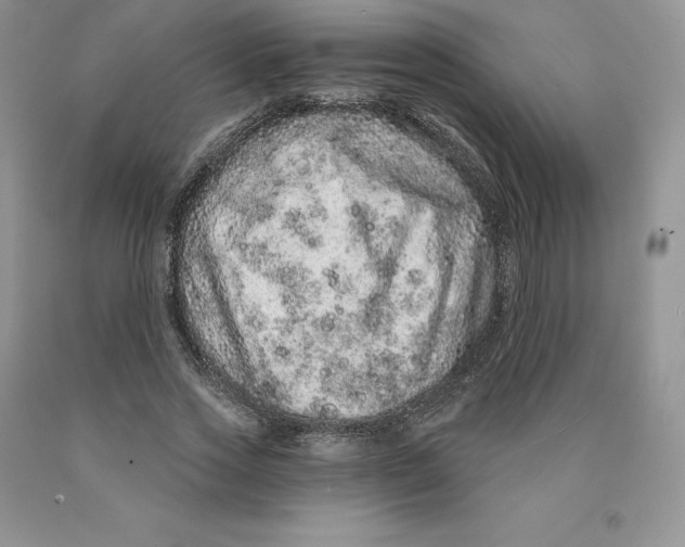 X0000089940733200707271818