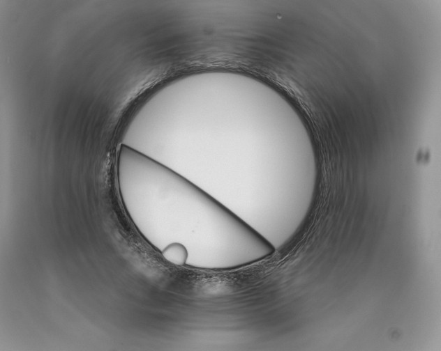 X0000089940735200707271818