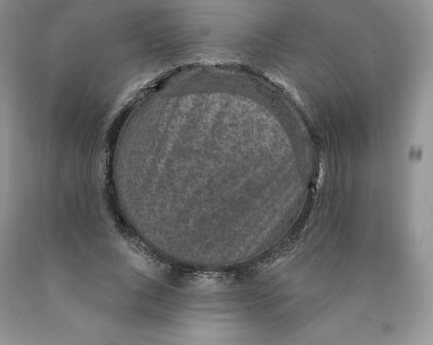 X0000089940736200707271818