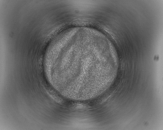 X0000089940737200707271818