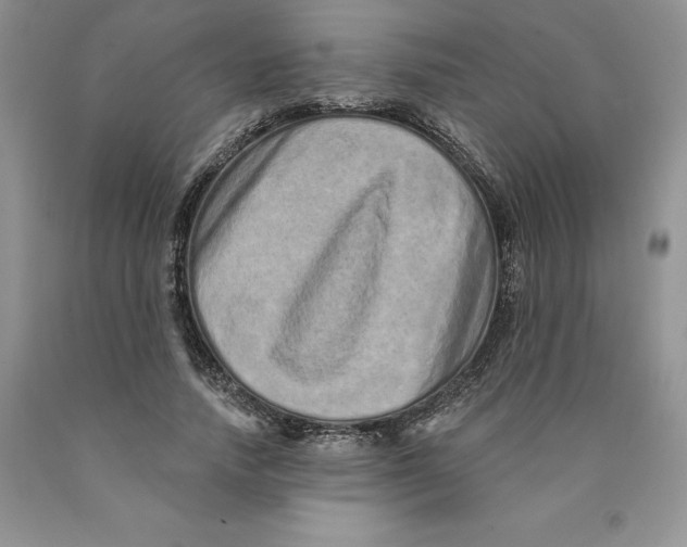 X0000089940738200707271818