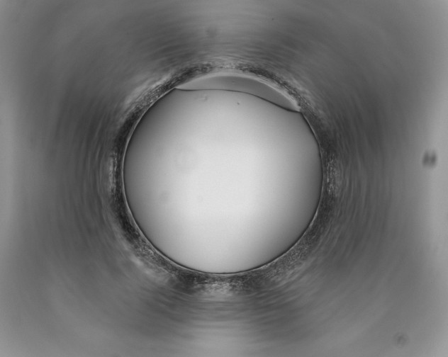 X0000089940740200707271818