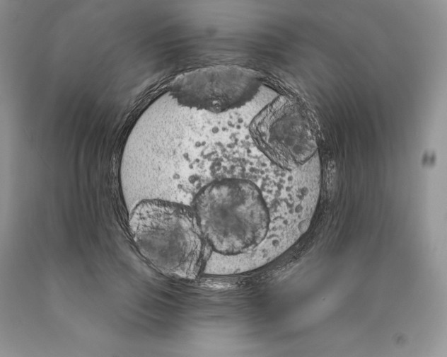 X0000089940741200707271818