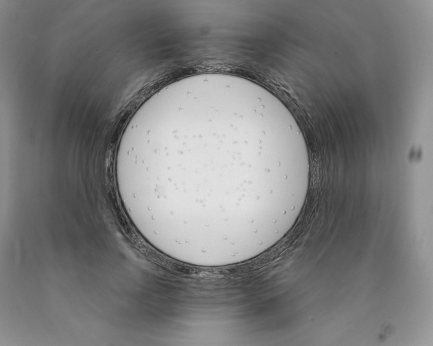 X0000089940742200707271818
