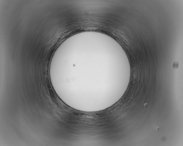 X0000089940743200707271818