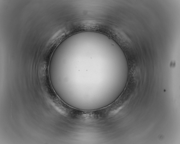 X0000089940744200707271818